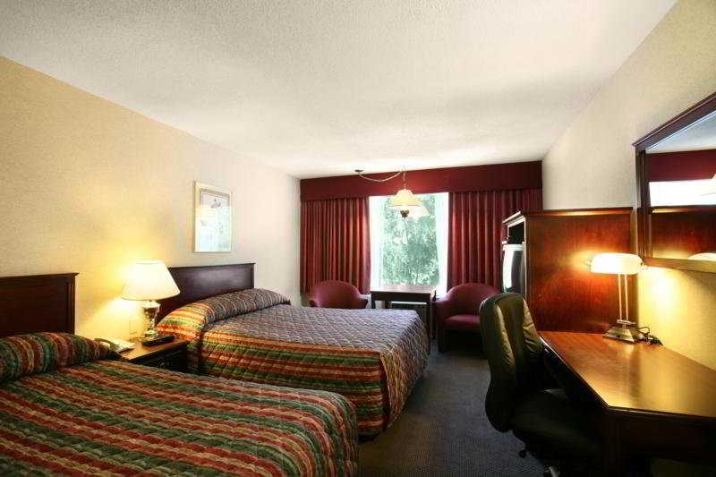 Sandman Hotel Edmonton West Oda fotoğraf